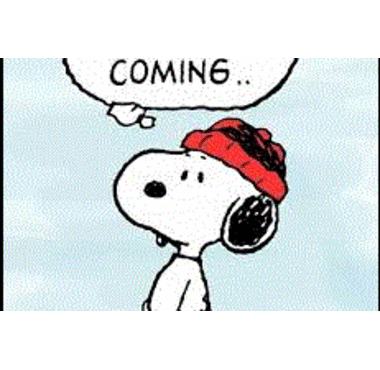 Winter is Coming snoopy